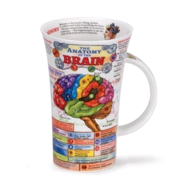 Image of Dunoon Glencoe Fine China Educational THE BRAIN Mug Cup 500ml