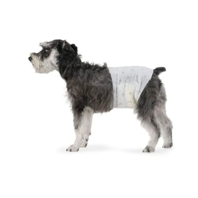 Image of Amazon Basics Male Dog Wrap, Disposable Diapers, Medium, Pack of 30, White