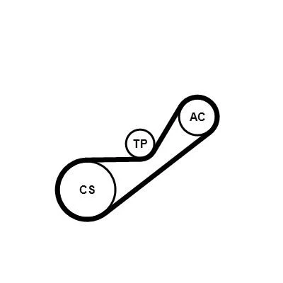 Image of 7701477536, 7701477537 V ribbed belt set CONTITECH 4PK925K1 RENAULT: CLIO 2, Kangoo I
