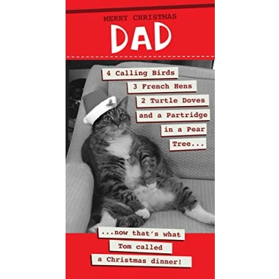 Image of Merry Christmas Dad Fat Cat Funny Card Quitting Hollywood Cards XRA8328