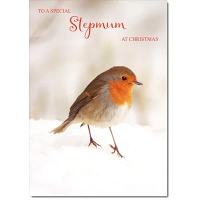 Image of doodlecards Stepmum Christmas Card Robin on Snow Medium Size for with Plain Envelope