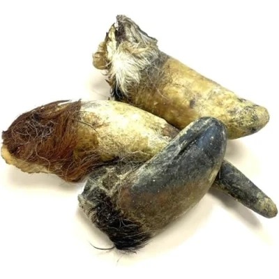Image of Bulls Horns with Hair Extra Large 1kg Natural Dog Treats Chews (approx 2 4) LOD1