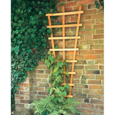 Image of Forest 2&#039; x 6&#039; Heavy Duty High Decorative Fan Wall Trellis (0.66m 1.83m)