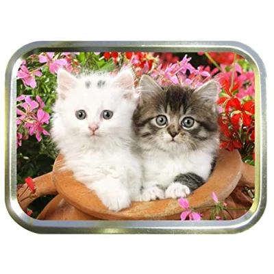 Image of TEEZ Flowerpot Kitten 2oz Gold Tobacco Tin,Baccy Tin, Smoking Tin