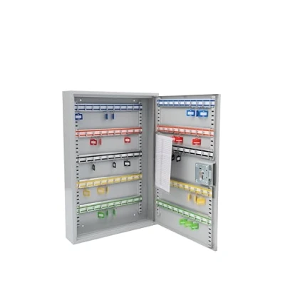 Image of Burg Wachter Euro Cylinder 100 Key Cabinet