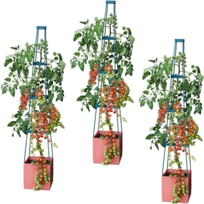 Image of Self Watering 4 Tier Tomato Tower Jumbo Fruit &amp; Vegetable Vine Plant, Support Grower, Decorative Multi Stage 1.5m Weatherproof Garden Planter by Grow (Tomato x3)