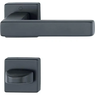 Image of HOPPE Austin Handle Set on Rosette Toilet Aluminium Black