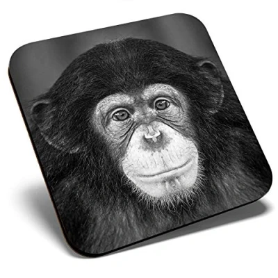 Image of Great Single Coaster Square BW Cheeky Chimpanzee Monkey Glossy Quality Coasters Tabletop Protection for Any Table Type #36178