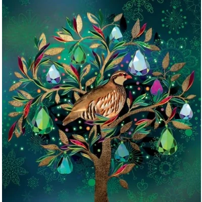 Image of Noel Tatt Charity Christmas Cards Pack of 10 with 2 Stylish Tree Designs Eco Friendly Xmas Multipack Envelopes