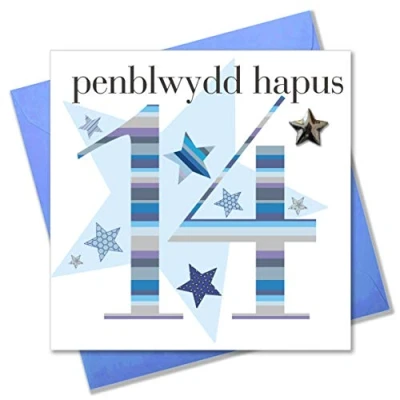 Image of Claire Giles Ages Welsh Penblwydd Hapus Age 14 Boy Birthday Card WAGE14B