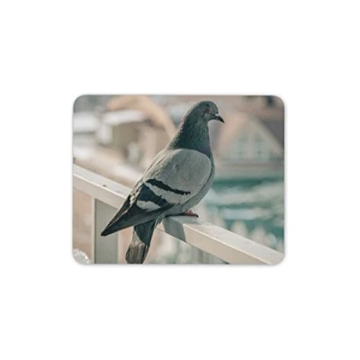 Image of Destination Vinyl ltd Pigeon Mouse Mat Pad Bird Birds Lover Dad Keeper PC Computer #8300