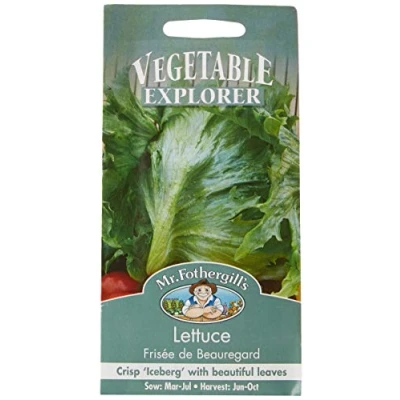 Image of Mr Fothergill&#039;s 22155 Vegetable Seeds, Lettuce Frisee de Beauregard