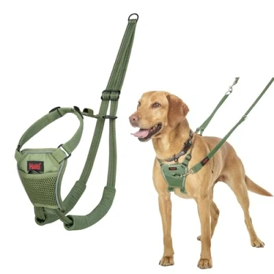 Image of HALTI No Pull Harness to Stop Your Dog Pulling on the Leash. Adjustable, Lightweight and Easy Use. Reflective Training for Medium Dogs (Size M, Forest Green)