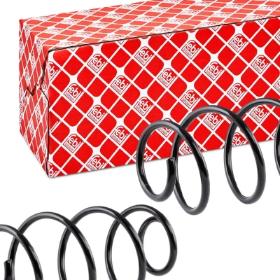 Image of 3C0511115AF Coil spring FEBI BILSTEIN 46934 Rear Axle VOLKSWAGEN: Passat B6 Variant, Tiguan I, Saloon