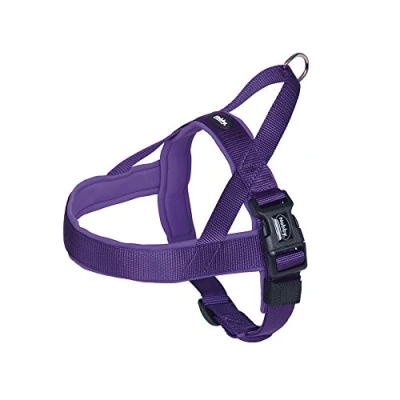 Image of Nobby Classic Preno Norwegian Harness, 38 50 cm+36 cm/20 25 mm, Purple