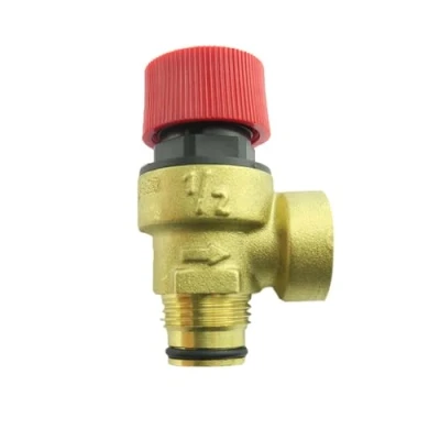 Image of HTS Boiler Pressure Relief Valve (PRV) Fits Glowworm &amp; Heatline Biasi Ideal 0020061610 3003202557 D003202557 3003200019 BI1131100 172494