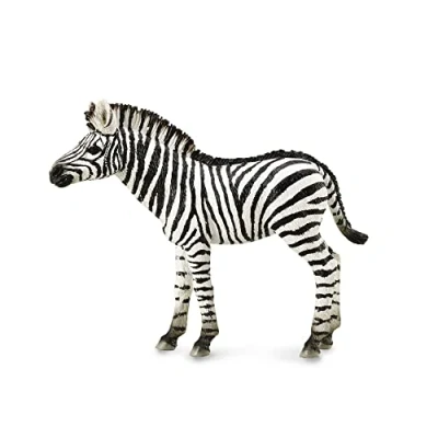 Image of CollectA Zebra Foal