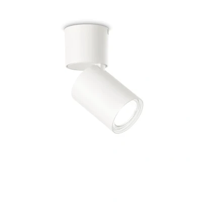 Image of Toby Adjustable Surface Mounted Downlight White