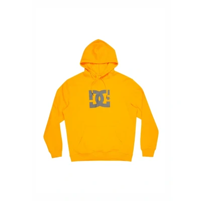 Image of Dcshoes Hoodie DC STAR PH Young Mens Orange L