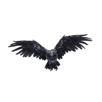 Image of Nemesis Now Dark Feather, Black, 55cm