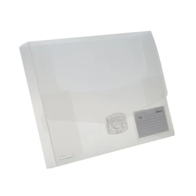 Image of Rexel A4+ 40mm Clear Ice Document Box