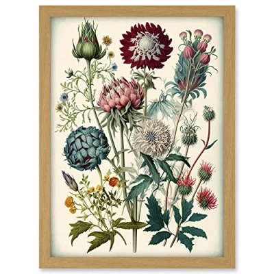 Image of Artery8 Ernst Haeckel Style Vintage Botanical Plant Study Modern Watercolour Painting Illustration Artwork Framed A3 Wall Art Print