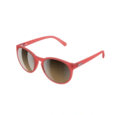 Image of POC Know Sunglasses Large, round lenses give excellent coverage for a clear view of what lies ahead as well optimal sun protection