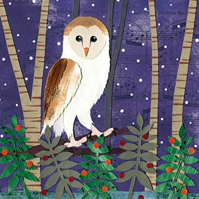 Image of Museums and Galleries Pack of 6 Artistic Charity Christmas Cards (MAEX902) Winter Owl in a Tree by Victoria Whitlam for Macmillan