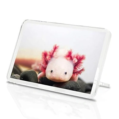 Image of 1 x Axolotl Aquarium Dragon Fish Eyes Classic Fridge Magnet Kitchen #3066
