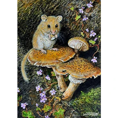 Image of Wildlife and nature greeting card. Dormouse Honey Fungus by Dick Twinney