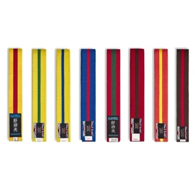 Image of Playwell Martial Arts Cotton Coloured Belt With Various Stripes Grading (Karate, Judo Taekwondo) (Green Blue Stripe, 280cm)