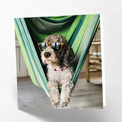 Image of Maturi Relaxing Dog Photographic Blank Birthday Greetings Card, 15.5 x cm