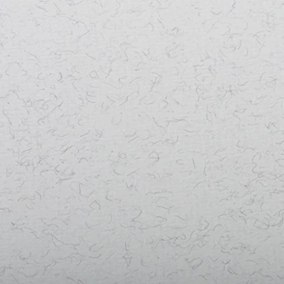 Image of Clairefontaine Ref 93500C Ingres Pastel Coloured Paper (Pack of 25 Sheets) 50 x 65cm, 130gsm Drawing Paper, Pale Grey Suitable for All Dry Techniques