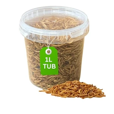 Image of Dried Mealworms for Birds Wild High Protein Bird Food in Easy Open Stay Fresh Container Robin Hedgehog Garden Feed Worms