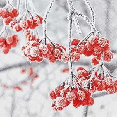 Image of 20 Small Cocktail Napkins Ice Berries Christmas Winter Table Decoration Decoupage Napkin Technology 25 x cm