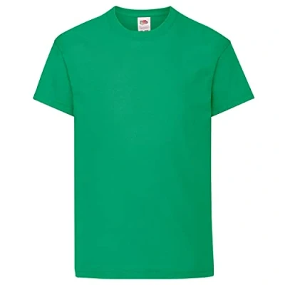 Image of Fruit of the Loom Childrens/Kids Original Short Sleeve T Shirt (5 6 Years) (Kelly Green)