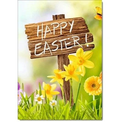 Image of doodlecards Pack of 8 Easter Cards Happy Sign, Standard A5