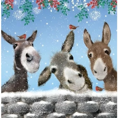 Image of Noel Tatt Charity Christmas Cards Pack of 10 with Snowy Robins and Donkeys Design Eco Friendly Xmas Multipack Envelopes