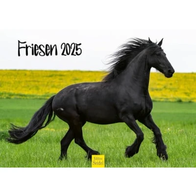 Image of Edition Seidel Premium Friesen Calendar 2025 Format DIN A3 Wall Horse Animals Horses Foal Mare Stallion