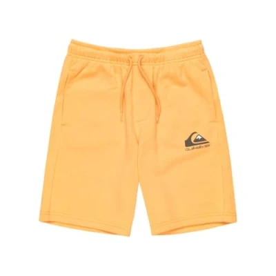 Image of Quiksilver EASY DAY Jogger Youth Tracksuit bottoms for kids, Size: 16t, Tigerlily