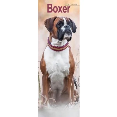 Image of Boxer Slim Calendar 2026