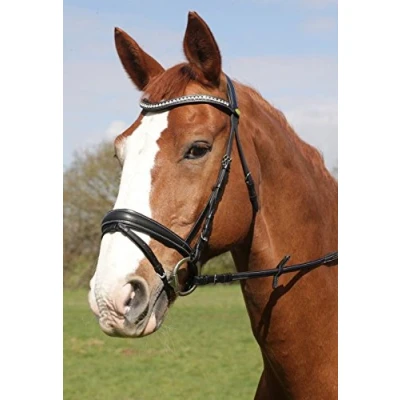 Image of Rhinegold Anatomic Bridle Cob Havana