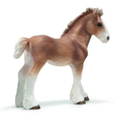 Image of Clydesdale Foal