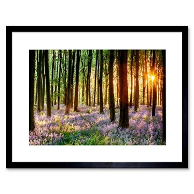 Image of Wee Blue Coo Bluebell Wood Sunrise Tree Art Framed Wall Print