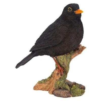 Image of Vivid Arts Garden Birds (Blackbird)
