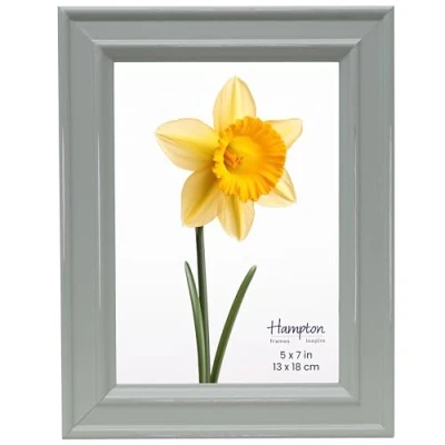 Image of inspire By Hampton PALOMA 5x7 (13x18cm) Sage Green Picture Photo Frame Glass IBH PAL301957S