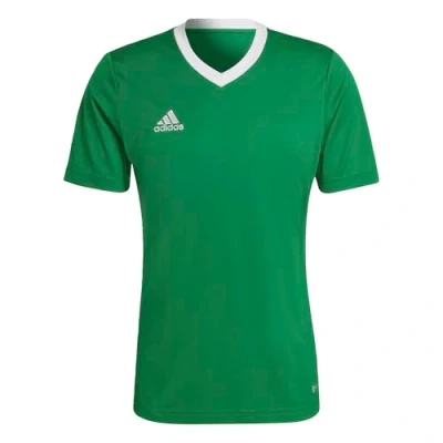 Image of adidas Men&#039;s Entrada 22 Jersey, Team Green/White, XS