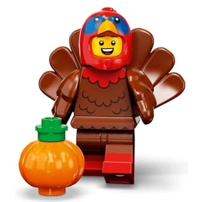 Image of LEGO Turkey Costume (71034)