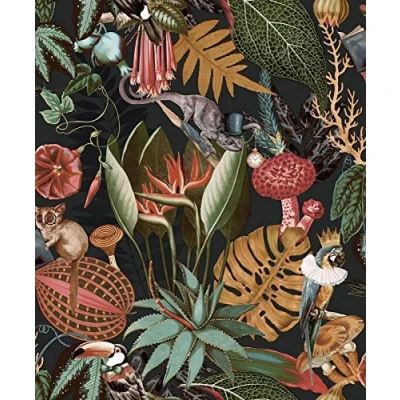 Image of Wonderland Jungle Exotic Wallpaper Holden Black Birds Animals