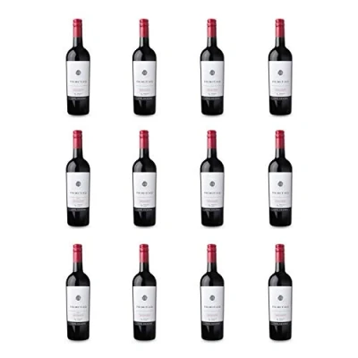 Image of Carlomagno Primitivo Appassimento 75cl x 12 Bottles